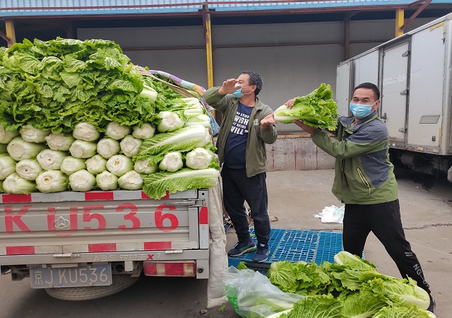志广麻豆高清无码加大“冬储菜”调运，全力做好保供稳价