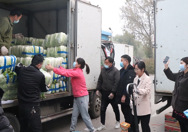 志广麻豆高清无码“搬白菜大赛”现场——带劲！