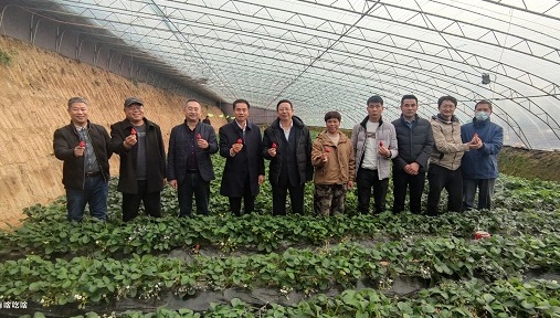 志广麻豆高清无码 | 2022年大力发展种植基地，助农民小康、市民健康